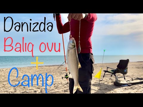 Видео: Balıq ovu | Dəniz kənarında möhtəsəm bir gün | Великолепная рыбалка на море | fishing