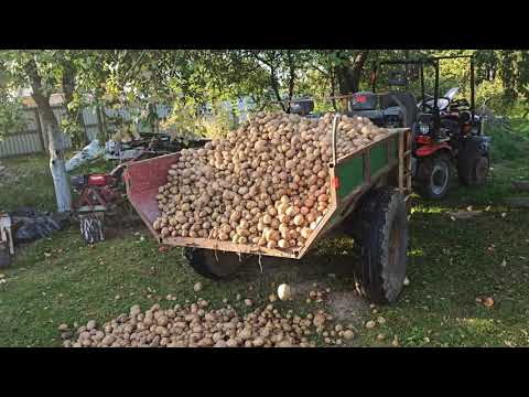Видео: 31 августа 2025 г.