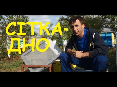 Видео: Дно-сітка