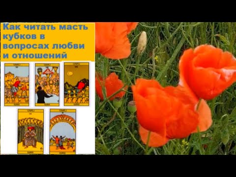 Видео: Шестёрка, Семёрка, Восьмёрка, Девятка, Десятка Кубков в вопросах любви и отношений