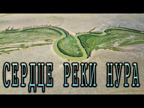 Видео: Рыбалка на ДОНКИ в интересном месте. Река Нура.