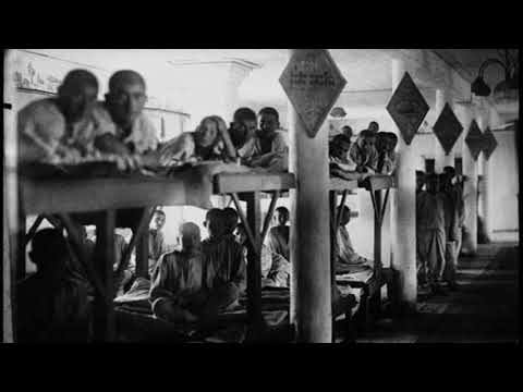Видео: Варлам Шаламов.Шоковая терапия.