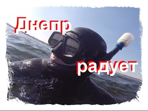 Видео: Подводная охота на Днепре - с Гладковым Юрием Сергеевичем.