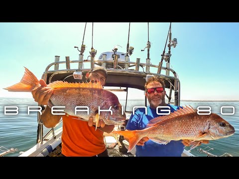 Видео: Охота на БОЛЬШОГО СКРЕЖКА! — Бухта Порт-Филлип