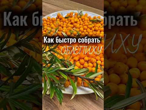 Видео: До этого способа мы тратили почти весь день на подготовку ягод 😅, а сейчас минут 15
