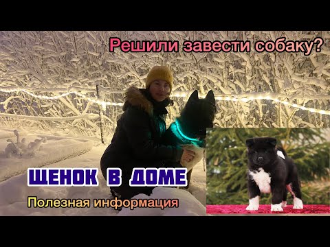 Видео: Готовимся к появлению щенка. Щенок в доме! Полезная информация, если вы решили завести собаку.