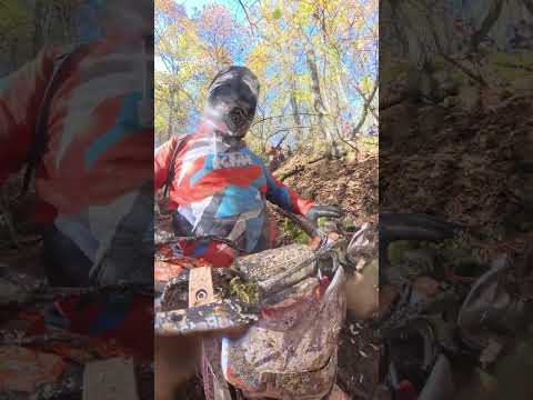 Видео: Копринка 2025