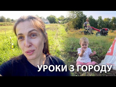 Видео: Провал чи урок? Наша перша картопля на селі