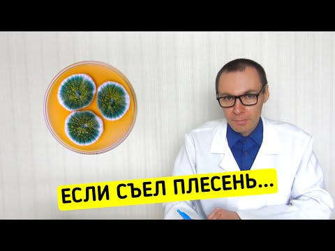 Видео: Если случайно съел ПЛЕСЕНЬ - что будет?