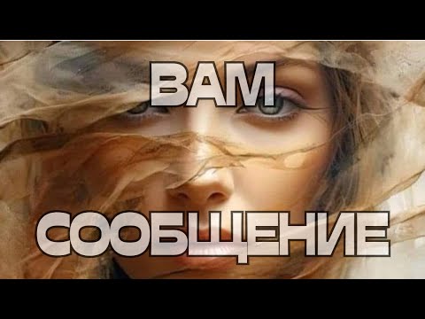 Видео: 🕊️ВАМ СООБЩЕНИЕ📩