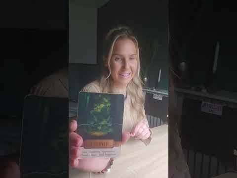 Видео: ♉️♉️ ТЕЛЕЦ!! БОЖЕСТВО ГОВОРИТ: «Я СКАЖУ ТЕБЕ, КОГДА ТЫ ЗАКОНЧИШЬ!» 😂 ВСЁ ТОЛЬКО НАЧИНАЕТСЯ!