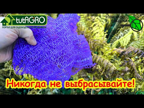 Видео: НИКОГДА НЕ ВЫБРАСЫВАЙТЕ! 10 способов использовать сетку для овощей.