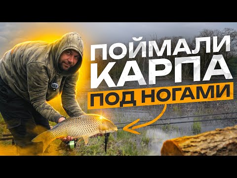 Видео: ОТКРЫТИЕ СЕЗОНА 2024 ПО КАРПОВОЙ ЛОВЛЕ НА ДИКАРЕ. Ловля карпа весной на Pop-Up!