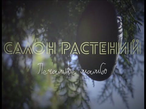 Видео: Салон Растений - Печальное мамбо (видеоклип 2022)