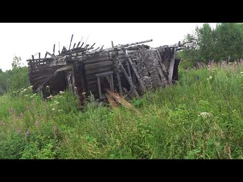 Видео: деревня Камчатка Ярославская область