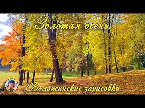 Видео: Воложинские зарисовки. Золотая осень.