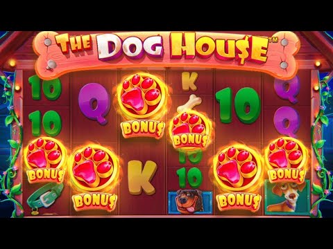 Видео: ЗАНОС В The Dog House Megaways 2000 ИКС ЗАНОС НЕДЕЛИ МАКСВИН БОНУСКА ЗА 200К