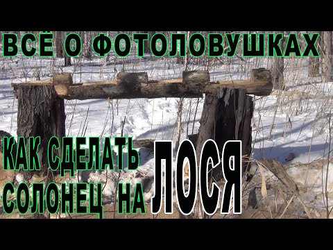 Видео: Как сделать правильно солонец на лося