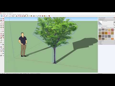 Видео: Создаём растения в SketchUp