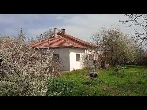 Видео: Дома на продажу этой весной в селе Подвис, Болгария
