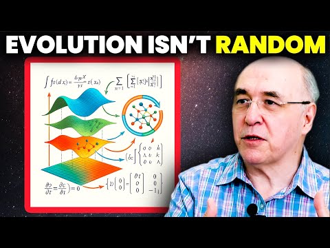 Видео: (Потрясающая) поправка Вольфрама к теории эволюции