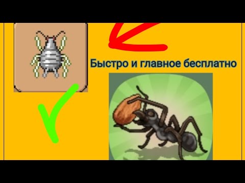 Видео: Как получить питомца тли в pocket ants