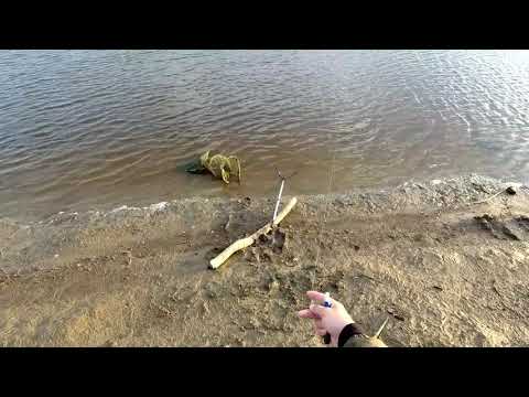 Видео: Рыбалка на р. Тура июнь 2021