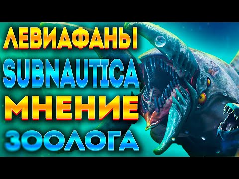 Видео: ЛЕВИАФАНЫ SUBNAUTICA РЕАЛЬНЫ?! МНЕНИЕ ЗООЛОГА