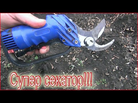 Видео: Обрезка шиповника пневмосекатором!
