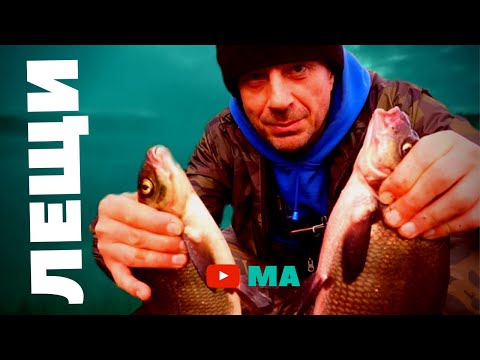 Видео: Как реально поймать леща . Большая Рутавечь - ЛЕЩИ.