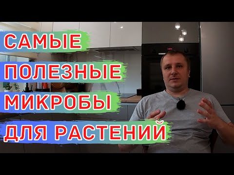 Видео: МИКРОБЫ, КОТОРЫЕ ЖИВУТ ВНУТРИ РАСТЕНИЙ. Польза от Такого Взаимодействия!