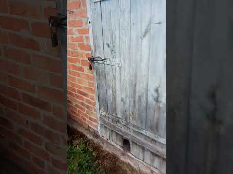 Видео: 11 листопада 2025 р.   Розбираю газ 53 Т 0964356126