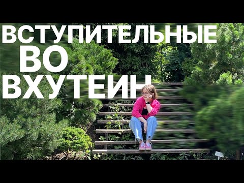 Видео: Вступительные во ВХУТЕИН