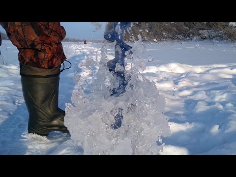 Видео: Зимняя рыбалка на мормышки и донки. Река Чепца.