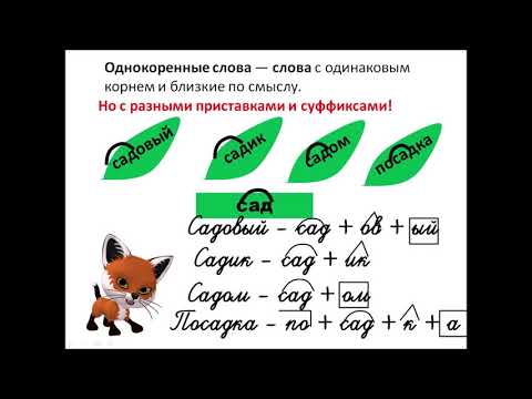 Видео: Однокоренные слова и формы слова