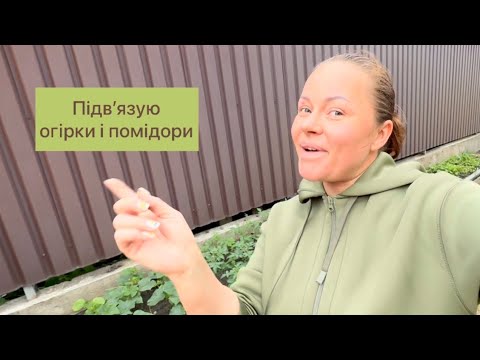 Видео: Найпростіший спосіб підвязки помідорів і огірків. Так підвʼязати зможе самий лінивий.