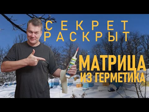 Видео: Матрица из силикона секрет раскрыт | Делаем правильную матрицу #пчеловодство, #пчелы