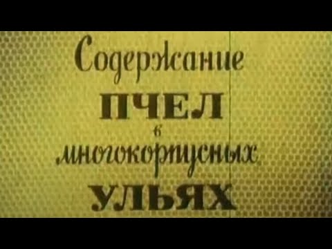 Видео: Содержание пчёл в многокорпусных ульях. Фильм СССР