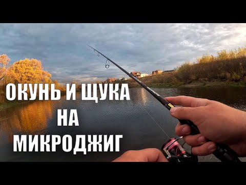 Видео: ОКУНЬ И ЩУКА НА МИКРО-ДЖИГ В ОКТЯБРЕ