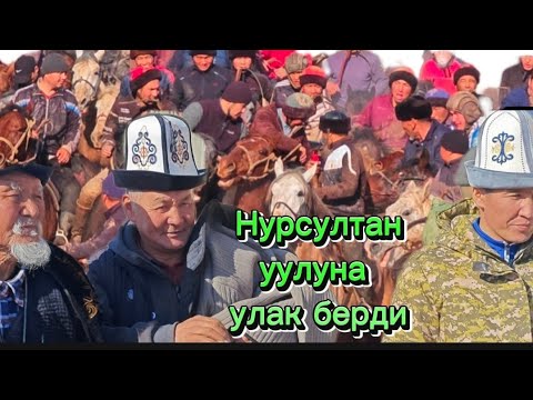 Видео: Барпы Нурсултан уулуна улак берди