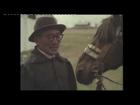 Видео: Кинохроника Ыһыах Чурапчы 1972 сыл.