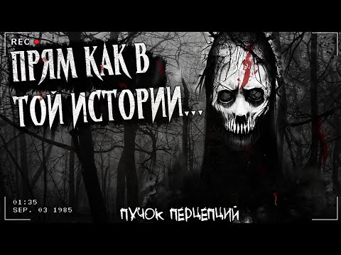 Видео: ПРЯМ КАК В ТОЙ ИСТОРИИ... | ДЕМОН В ЛЕСУ | Страшная история