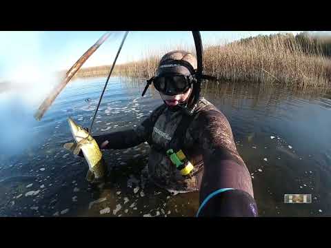 Видео: 2024 №6 ОТЛИЧНЫЕ ВЫСТРЕЛЫ