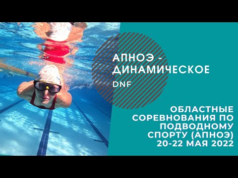 Видео: Областные соревнования по фридайвингу | апноэ - динамическое DNF