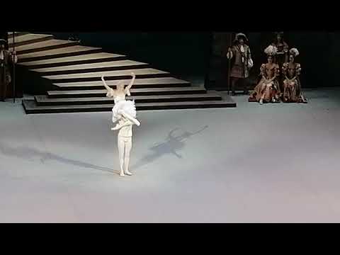 Видео: Спящая красавица 1 ноя вечер 2025