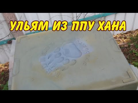 Видео: пчеловодство. ульям хана, разрушение ульев из ППУ