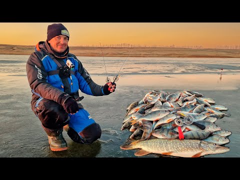 Видео: И снова ПЕРВЫЙ  ЛЁД! Надубасили рыбы на мели. Ловлю на балансир вприглядку, РЫБАЛКА УДАЛАСЬ!