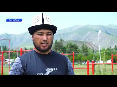 Видео: Талды-Суу айылынын тоосуна чон желек орнотулду