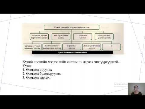 Видео: Хүний нөөцийн мэдээллийн систем