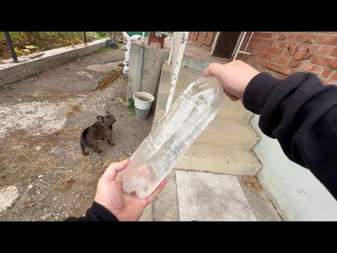 Видео: летим с МАСЕЙ на АНАЛИЗЫ из за смены ПЛАНОВ в доме на Юге